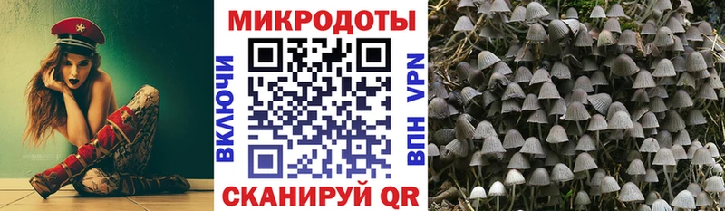 Галлюциногенные грибы мицелий  даркнет сайт  Тюкалинск 