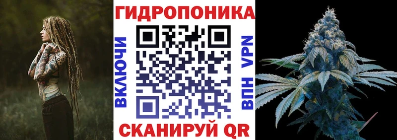 Шишки марихуана план сколько стоит OMG зеркало Тюкалинск